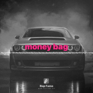money bag