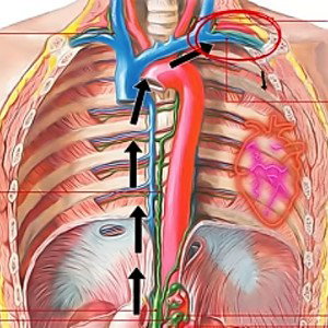 inside of me