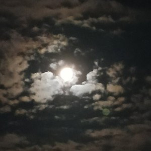 Night Smooth 