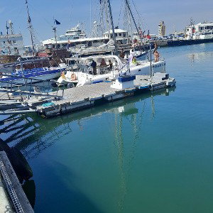 Alright Freestyle.
