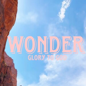 wonder