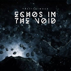 Echos in the void