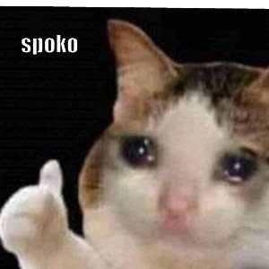 Skibidi toilet trap