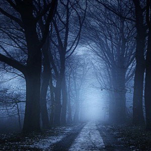 Cold Night