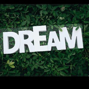- Mr. Blessin Chasin a Dream