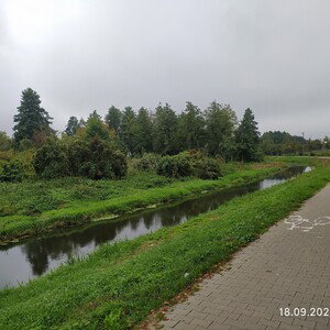 +PiąTeCZeK-