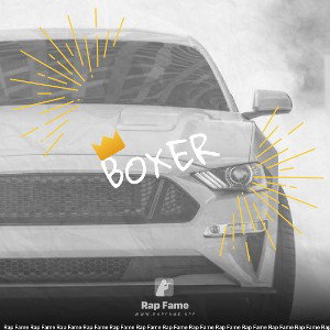boxer 
