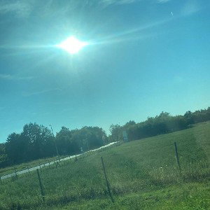 sunlight 