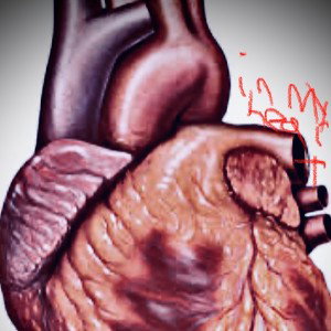 In My Heart 