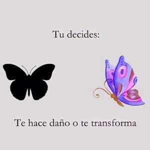 Positividad vs Negatividad 