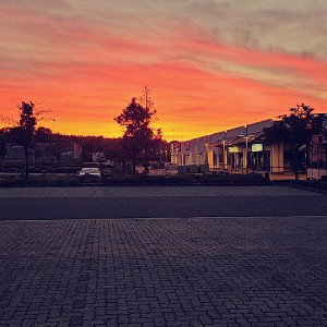 pussy sucht Polizeischutz