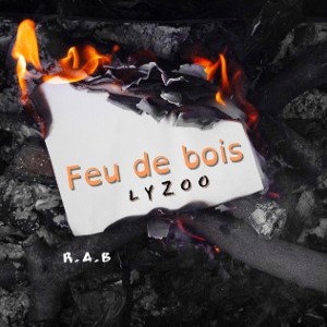 Feu de bois 