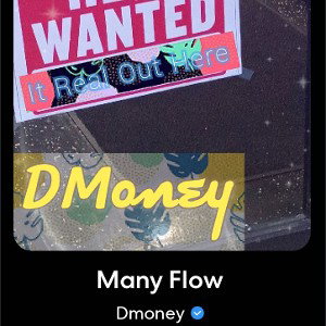 Many Flows V2