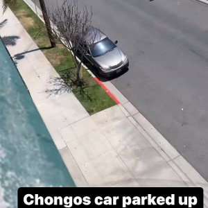 chongos not active 