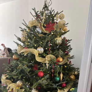 It’s Christmas Time 