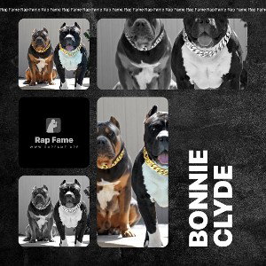 bonnie clyde