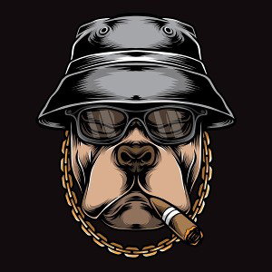 pitbull 