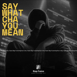 say whatcha you mean 