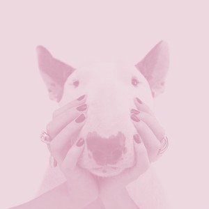 8mhz (Bass Boost)