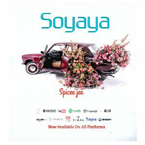 SPICEE JEE SOYAYYA