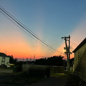 EVENING STYLEFREE