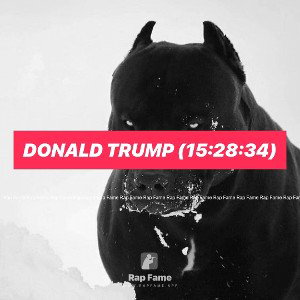 Donald Trump (15:28:34)