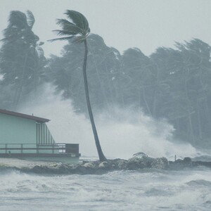 Wind