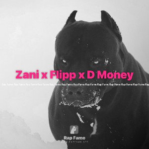 Zani x Flipp x D Money
