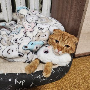 енто пыз дэц