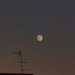 Andr€- sotto la luna