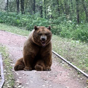 Дух