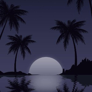 dreams
