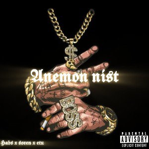 einemon nist