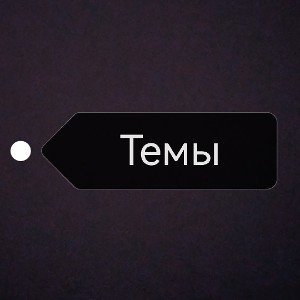 Темы