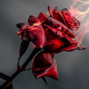 Stay (Freestyle demo)