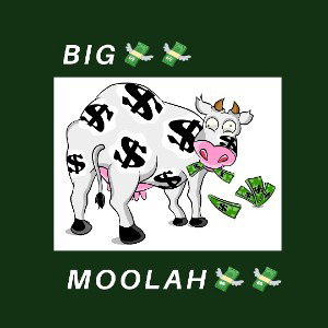 Big Moolah 💸💸💸