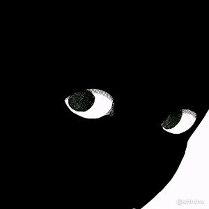 Qatic_FREESTYLE_2