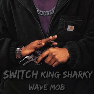 switch