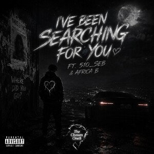 I've Been Searching For You 