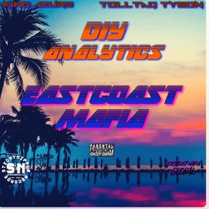 DIYanalyticsfeatTollTagTyson