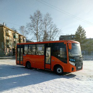 Белые трусы