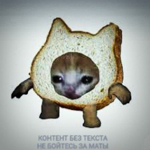 ↑←↑↓ 