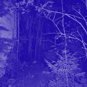 Свинарник (Remaster) (Slowed + Reverb)