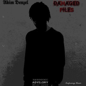 Akim Denzel - THE SHXTS