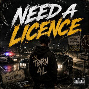 Need a licence [FREESTYLE]