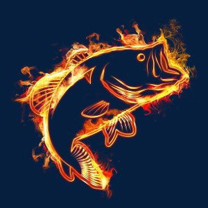 Flamin trout 