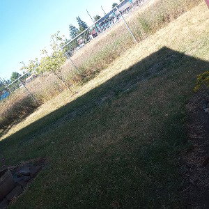outside