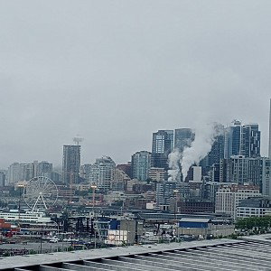 the city