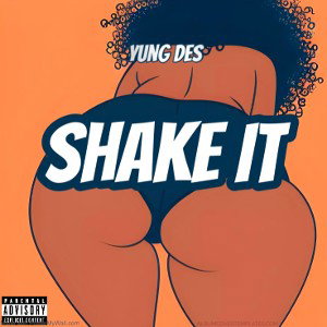 Shake It