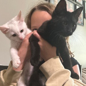cat life